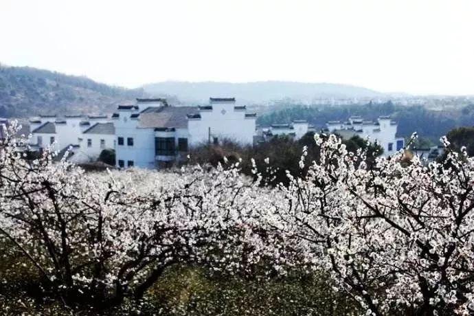 刚从越南旅游回来,说几句大实话,告诉你一个亲身体验的越南