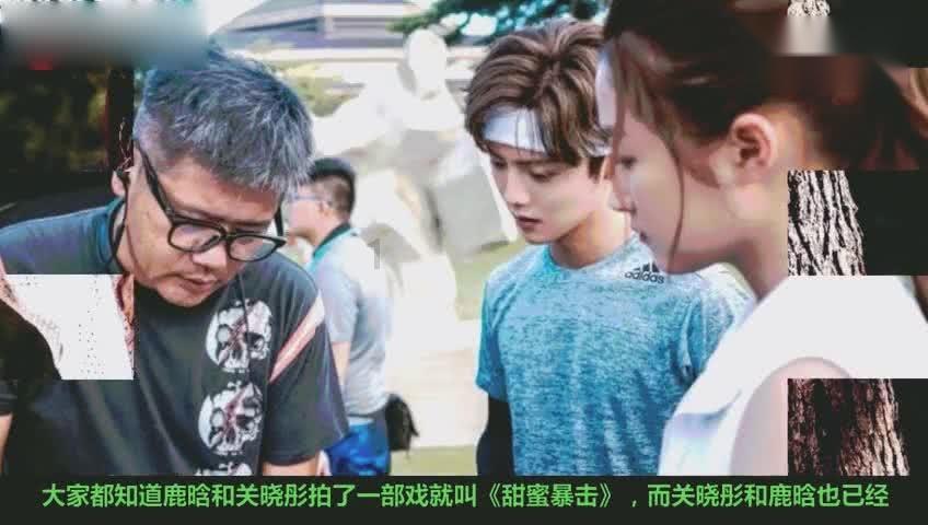 蓝狐视频