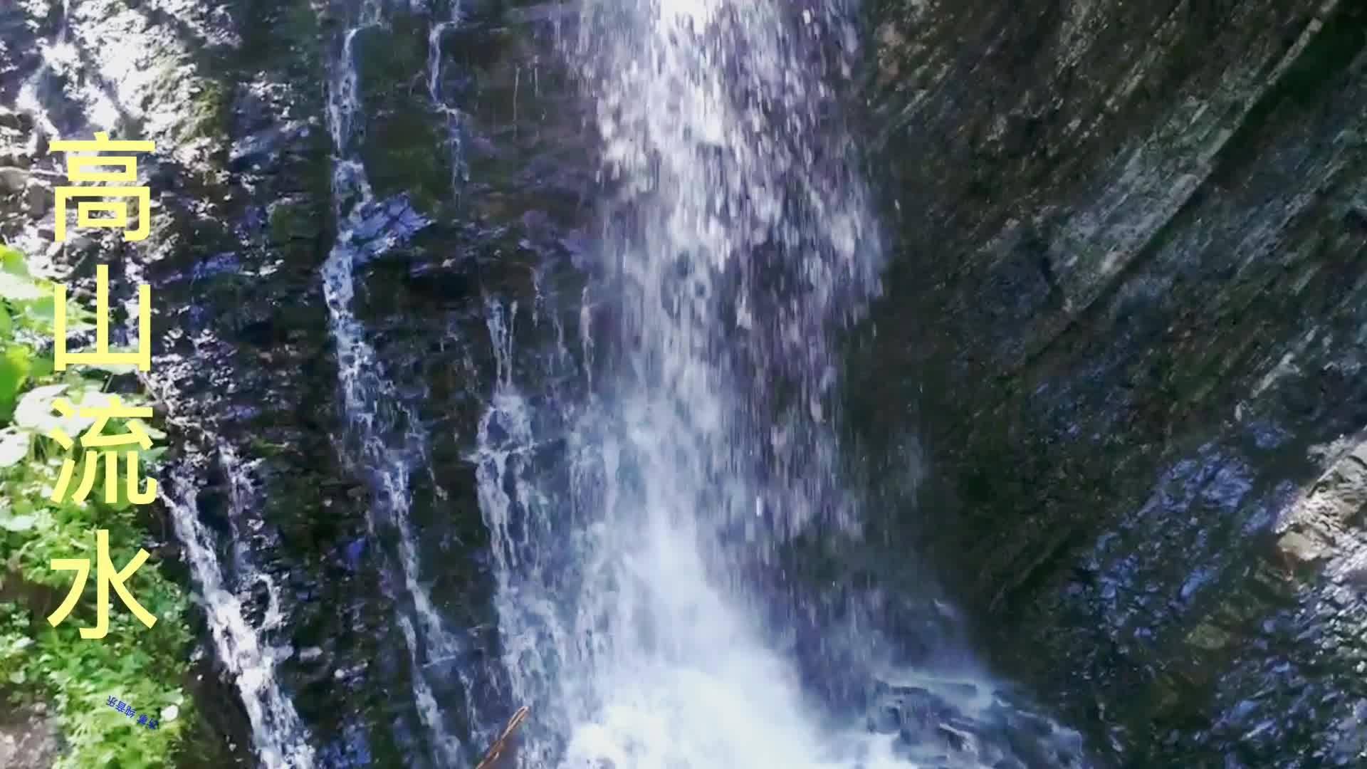 奥森弗里
