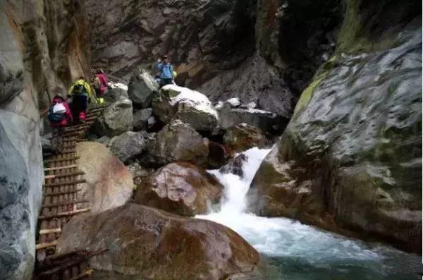 拿下微博年度汽车大选“年度燃油车型”！新途岳凭什么能赢？
